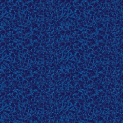 Electric Aquarius - 20 & 27 Mil