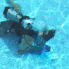 Professional diver servicing pool